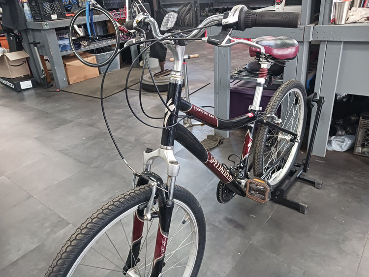 Specialized Expedition, Cruiser Bike, Medium