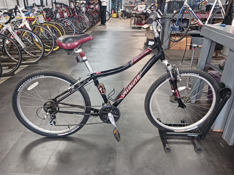 Specialized Expedition, Cruiser Bike, Medium