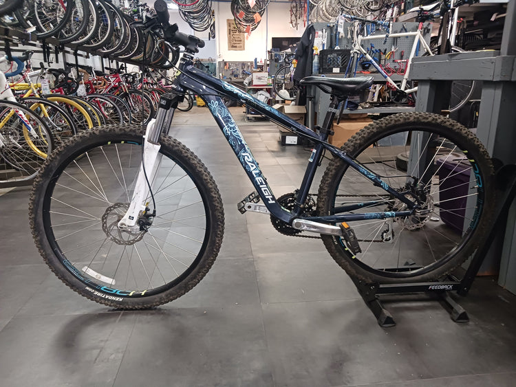 Raleigh EVA 4.5, Mountian Bike, Small