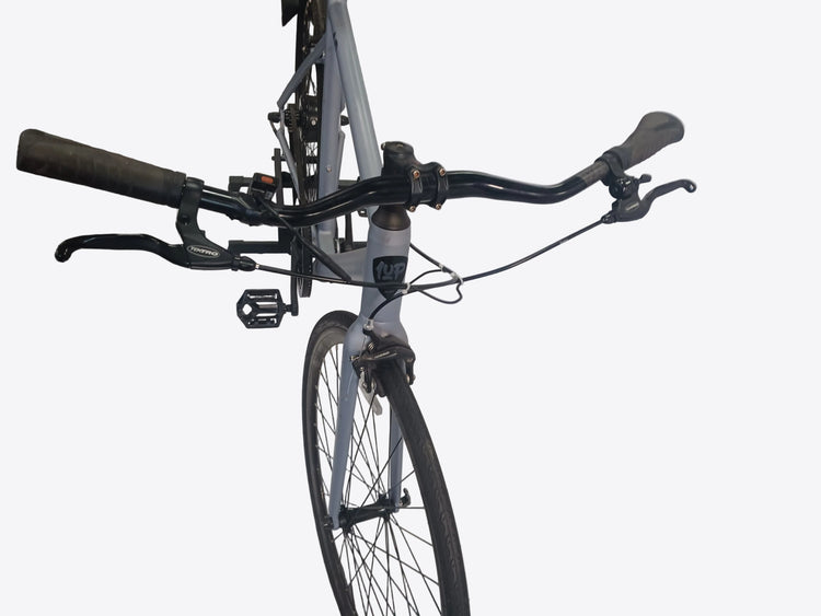 1UP Roadster Pedal-assist E-Bike