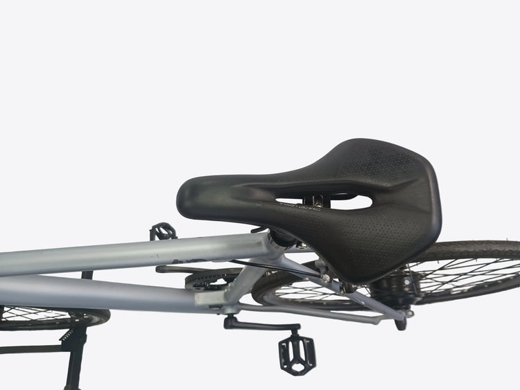 1UP Roadster Pedal-assist E-Bike