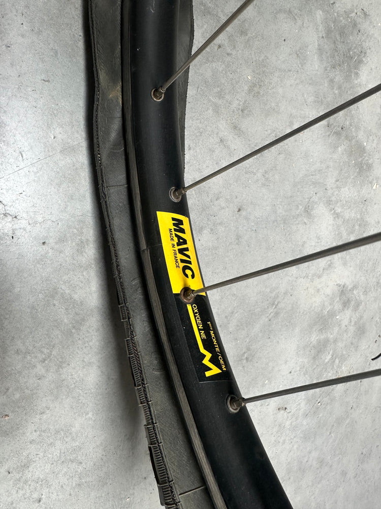 1985 Specialized Stumpjumper Sport 26" XL