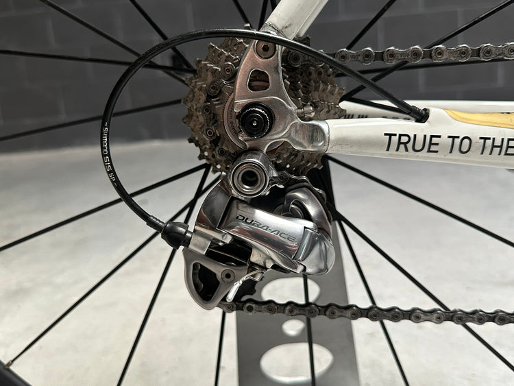 Quintana Roo Seduza Carbon Triathlon Bike Small