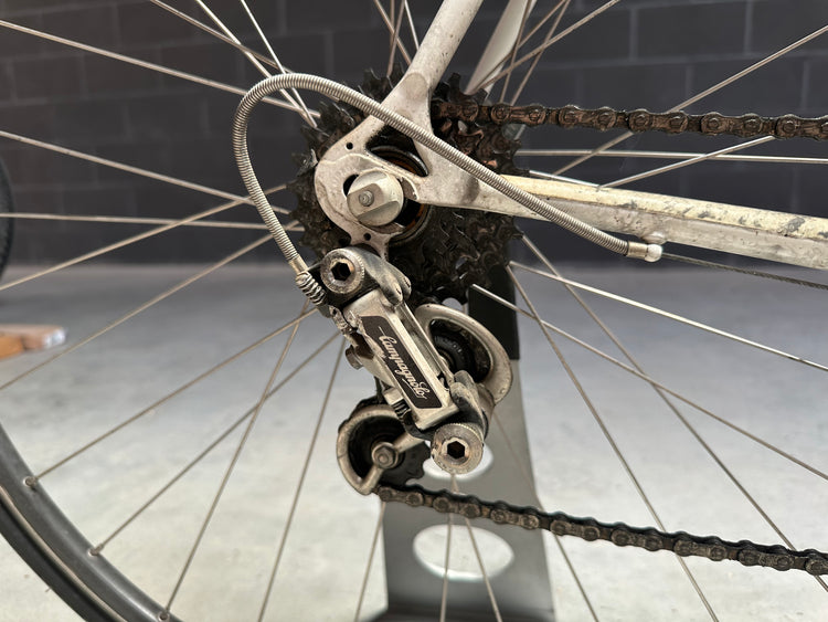Pursuit Road Bike 55cm Vintage Campagnolo