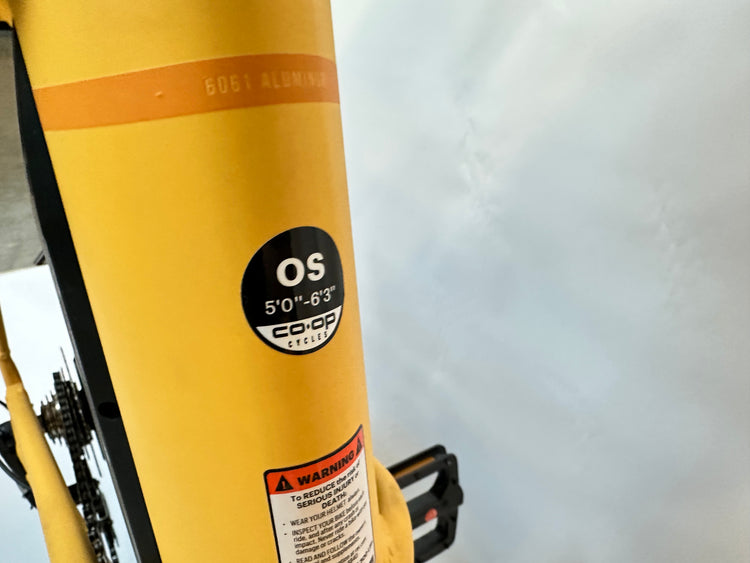 CO-OP E1.1 Electric Mini Cargo Bike 5'-6'3"