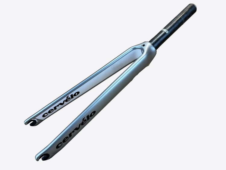 main view of the fork