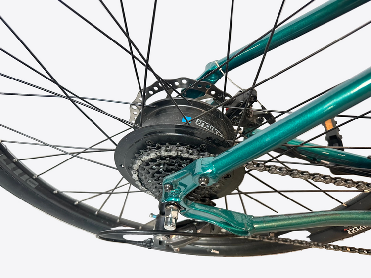 Close-up of a bicycle wheel with gear and chain mechanism on a light background