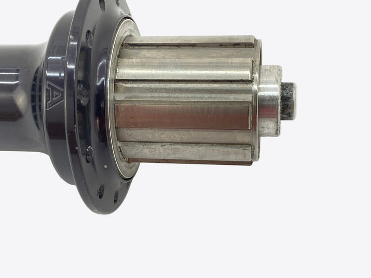 close up of the freehub body