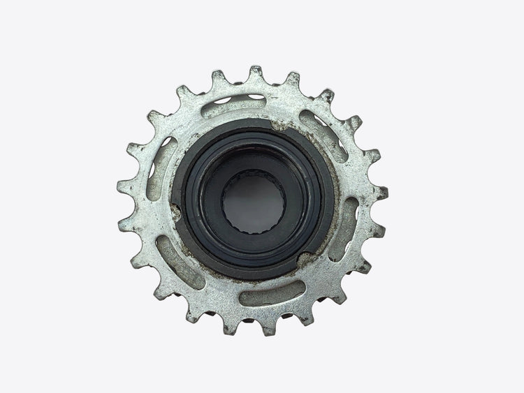 backside view of the freewheel