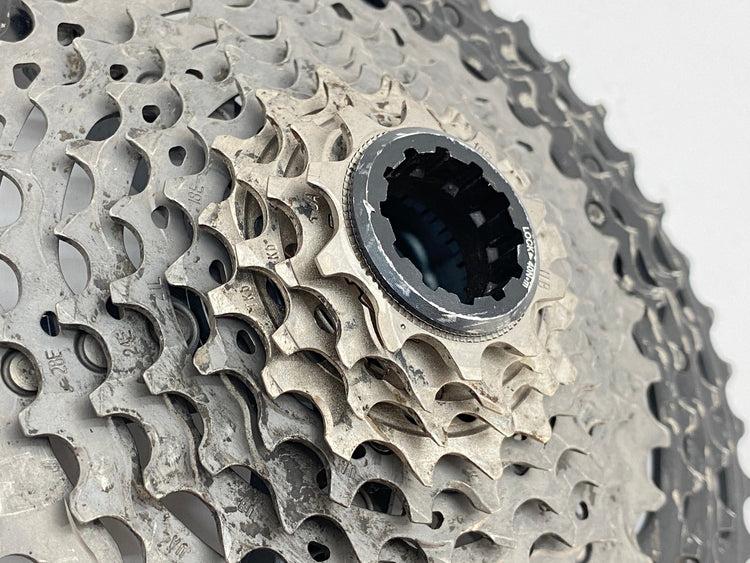 side view of the cogs