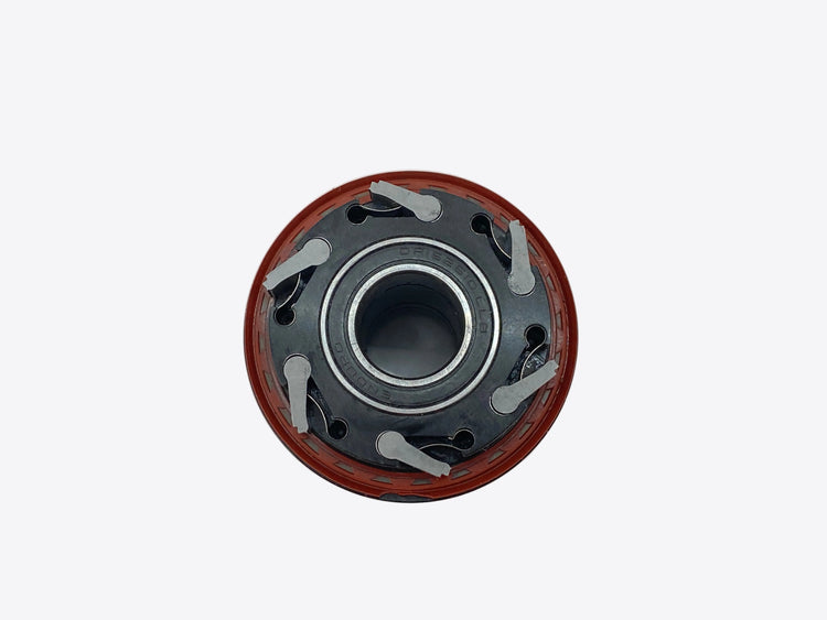 backside of the freehub body