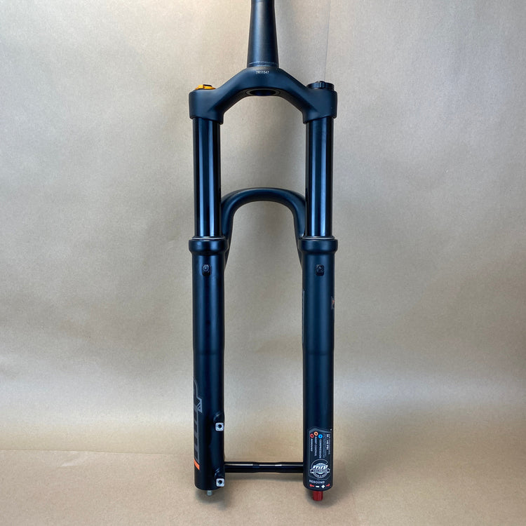 rear view of the fork