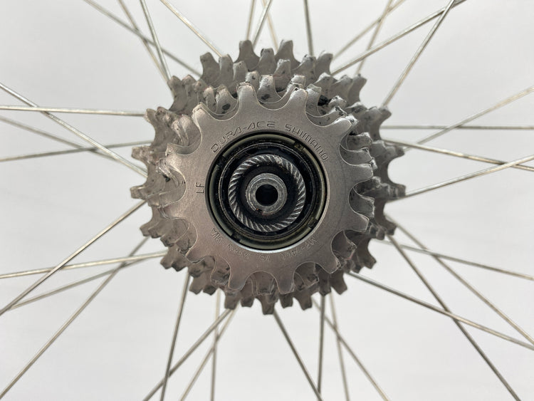 close up of the freewheel