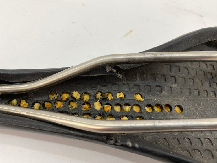 close up of the saddle shell