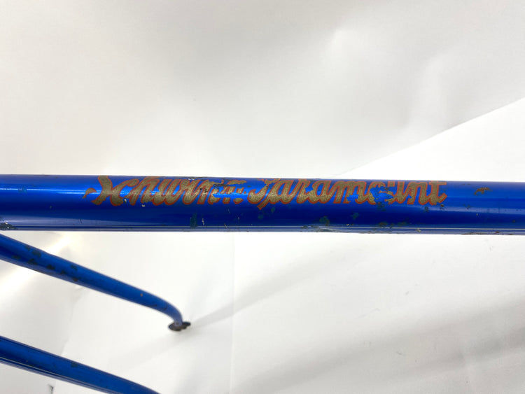 close up of downtube decal