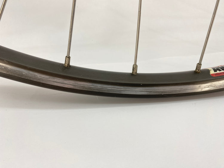 view of the rear brake track