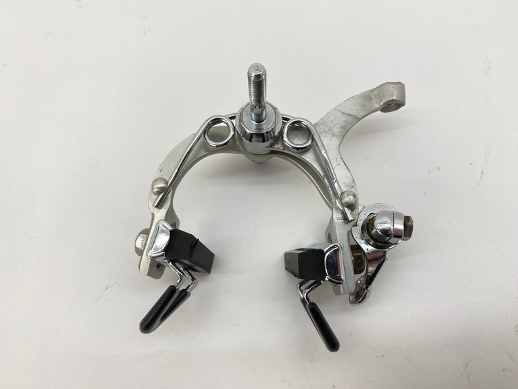 backside of the rear brake