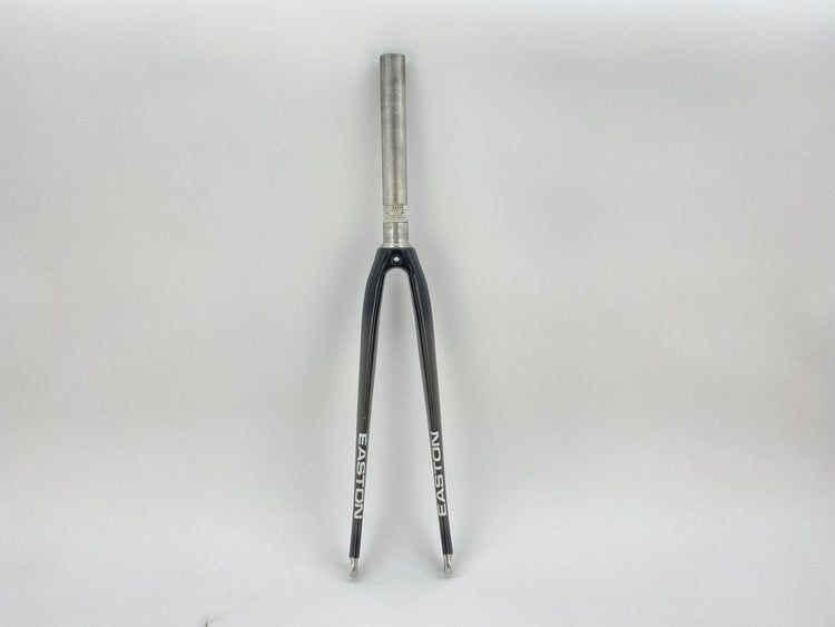 main view of the fork