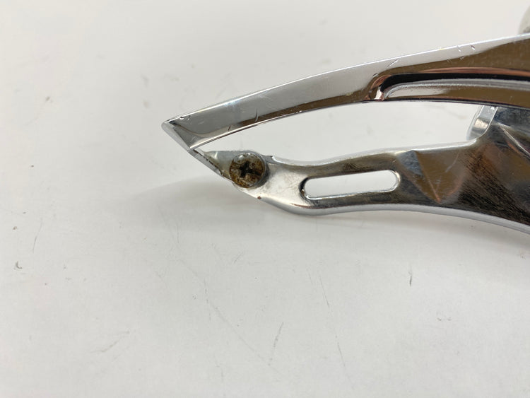 rust on the derailleur cage screw