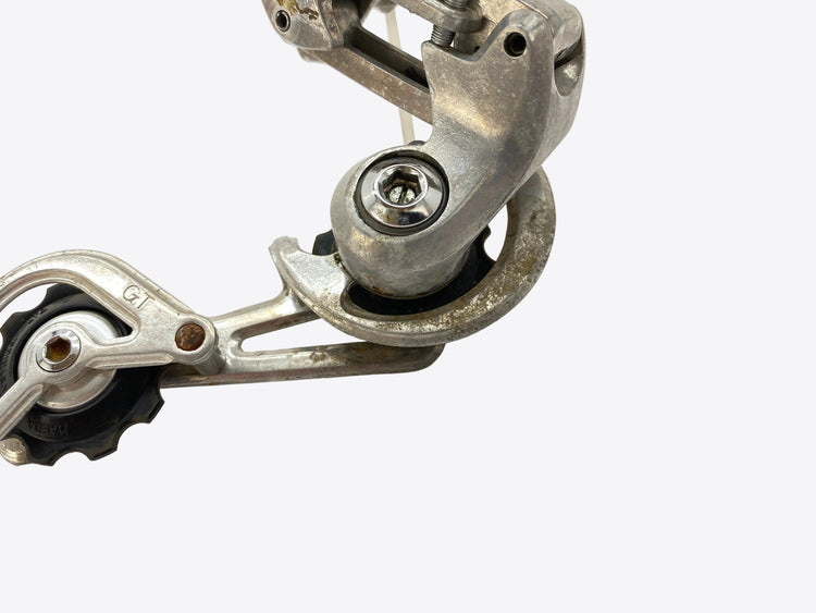 close up of the derailleur cage