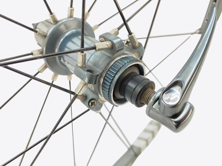 view of the rear brake mount