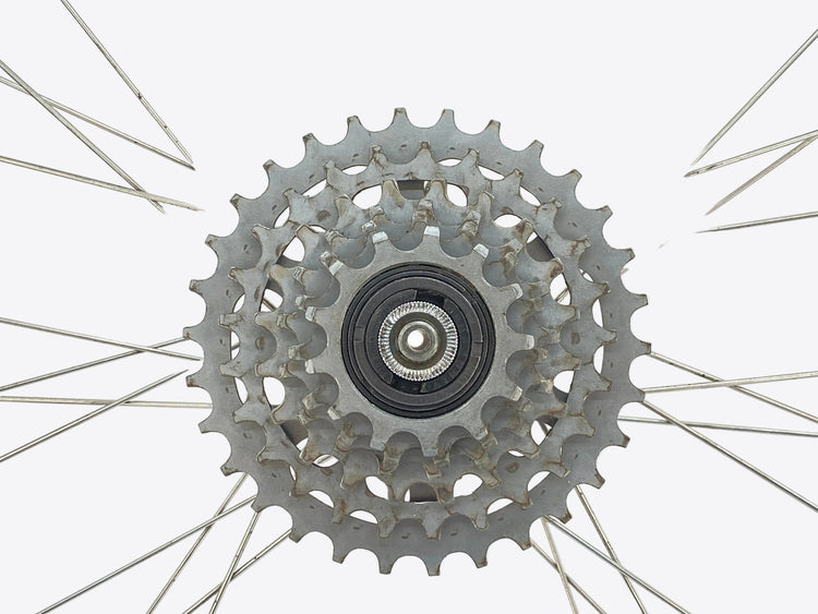 view of the freewheel
