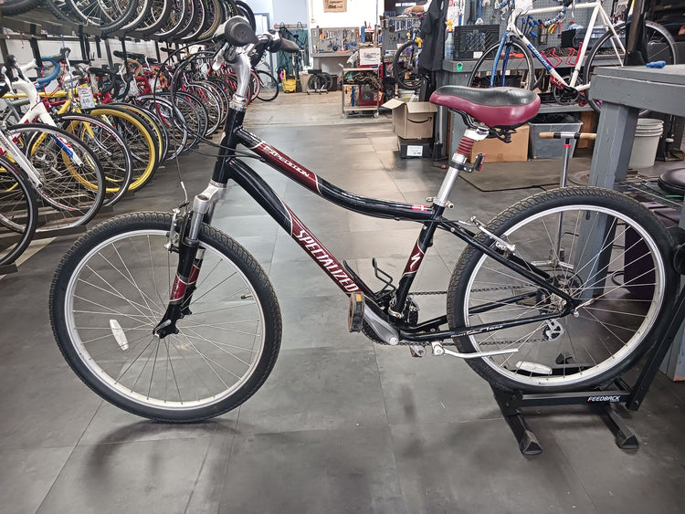 Specialized Expedition, Cruiser Bike, Medium
