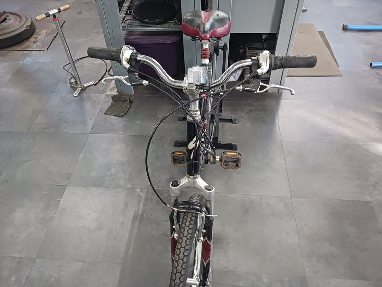 Specialized Expedition, Cruiser Bike, Medium