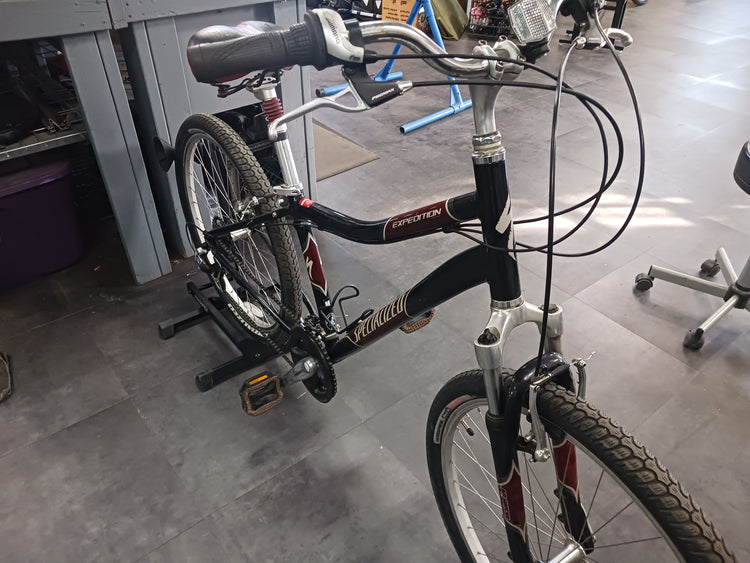 Specialized Expedition, Cruiser Bike, Medium