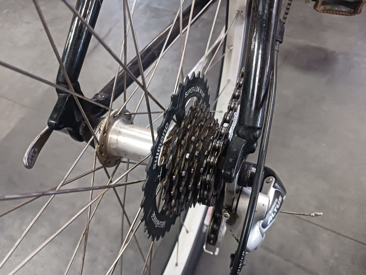 Specialized Expedition, Cruiser Bike, Medium
