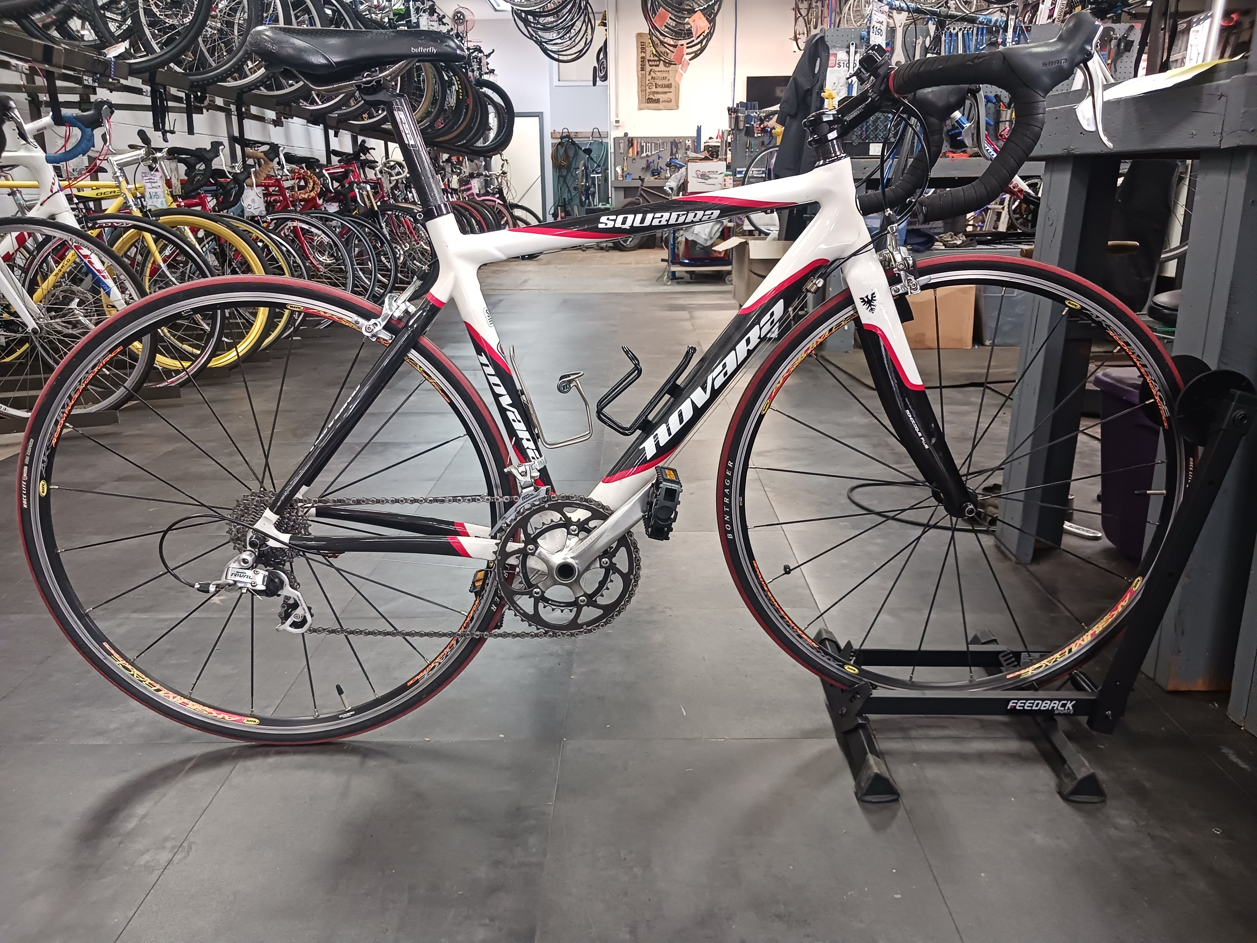 専用　Players Association Novara Squadra, Road Bike, 51cm
