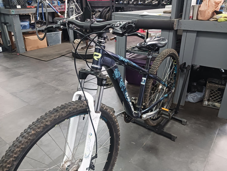 Raleigh EVA 4.5, Mountian Bike, Small