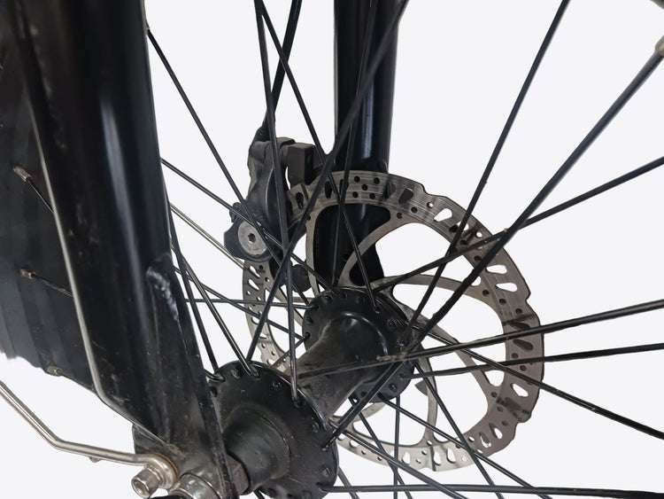 Radpower Radexpand E-Bike