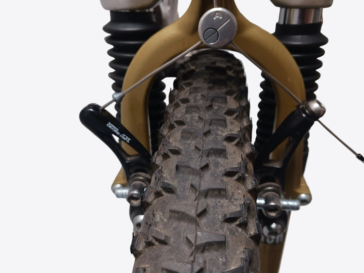 Merlin Titanium Mountain Bike