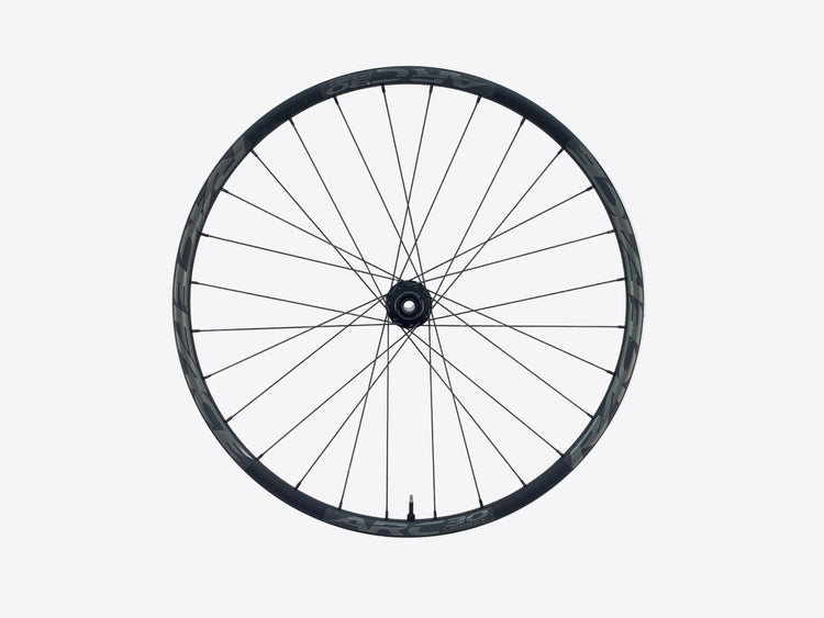 main view of the wheel