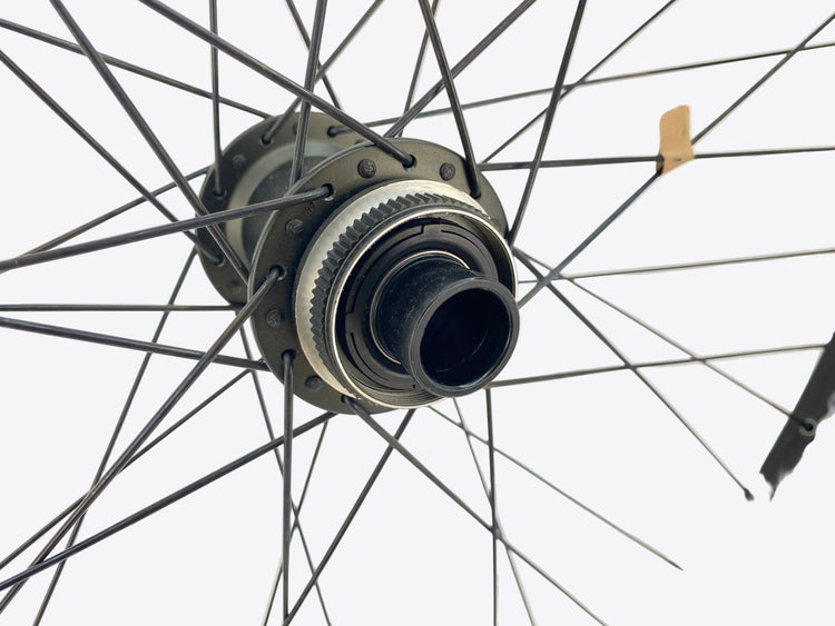 view of the front hub brake mount