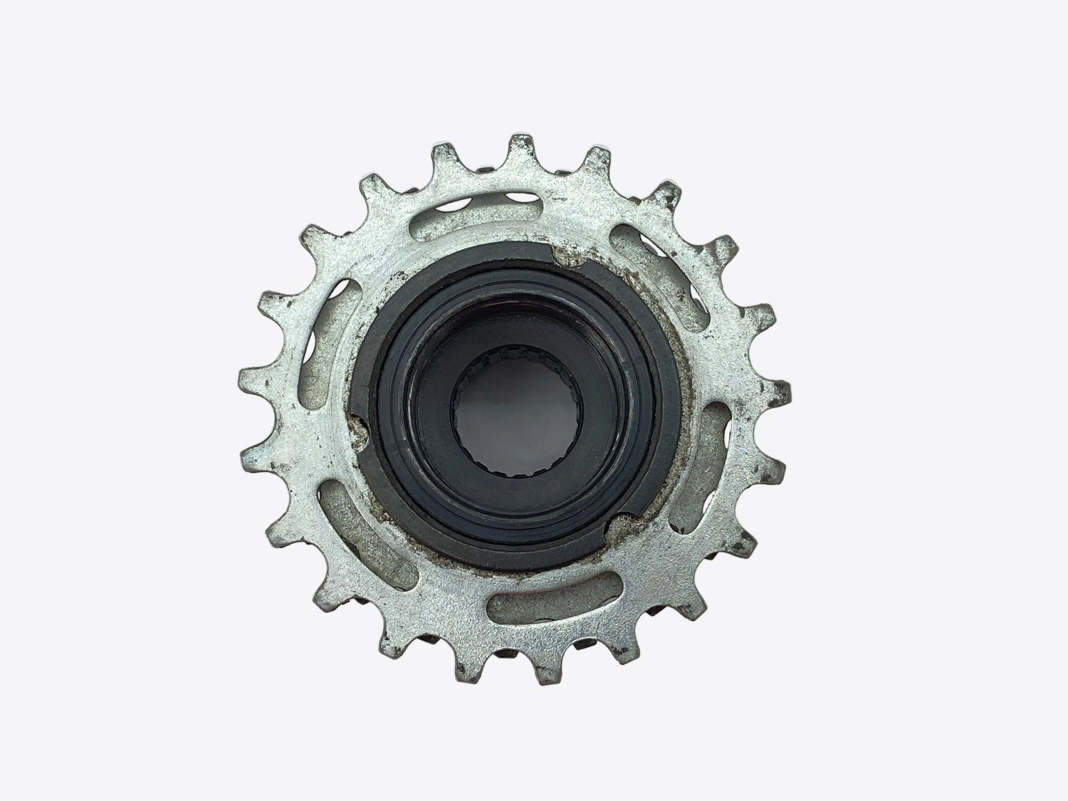backside view of the freewheel