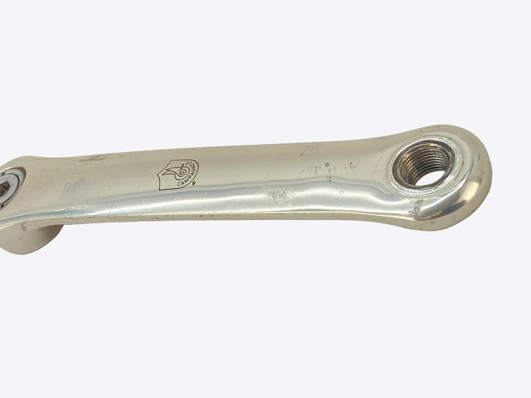 close up of the left arm