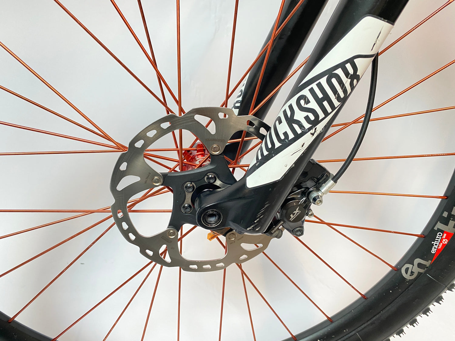 close up of the left fork leg