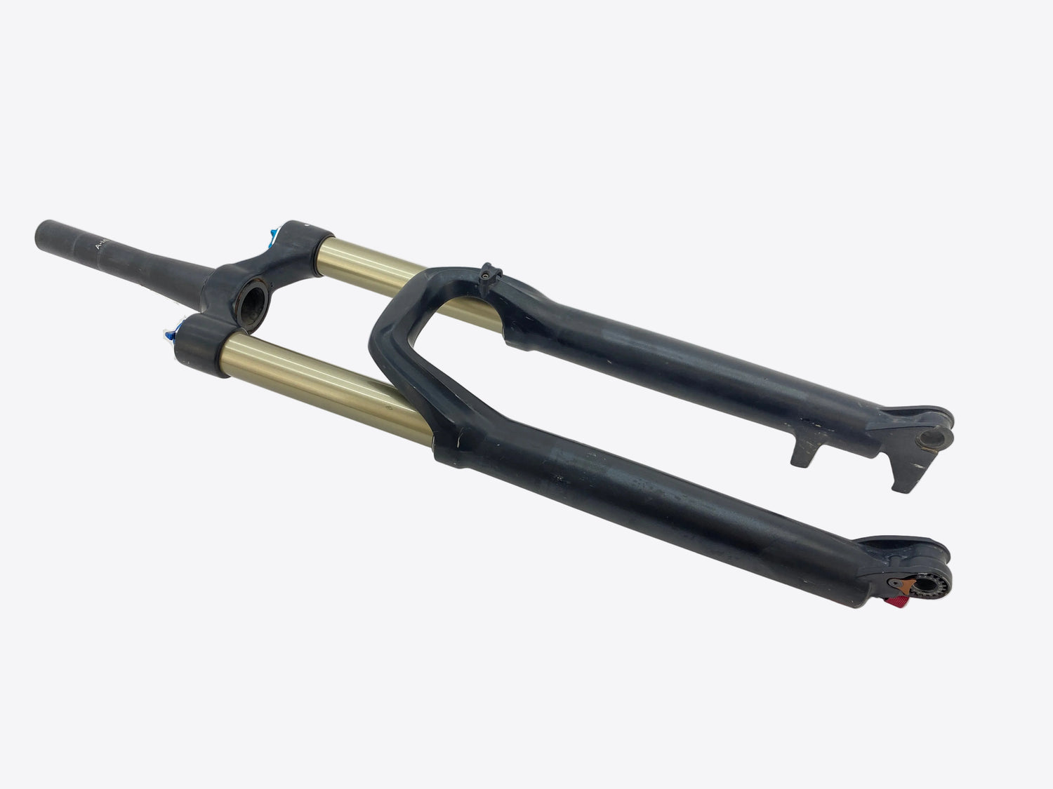 main view of the fork