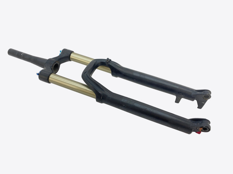main view of the fork