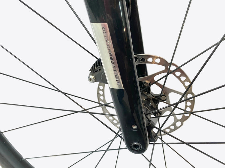 view of the right fork leg