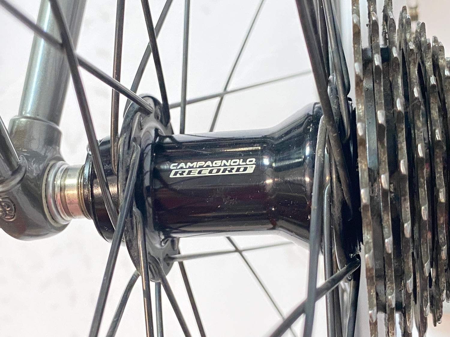 close up of the rear hub