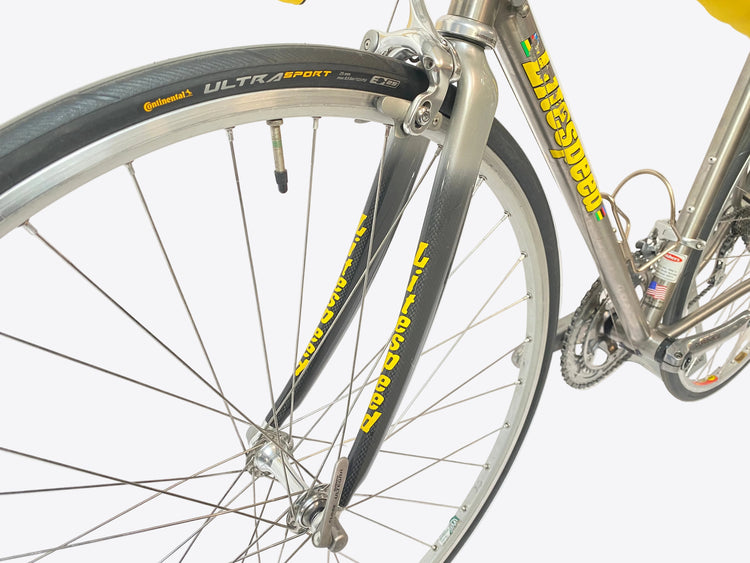view of the front fork