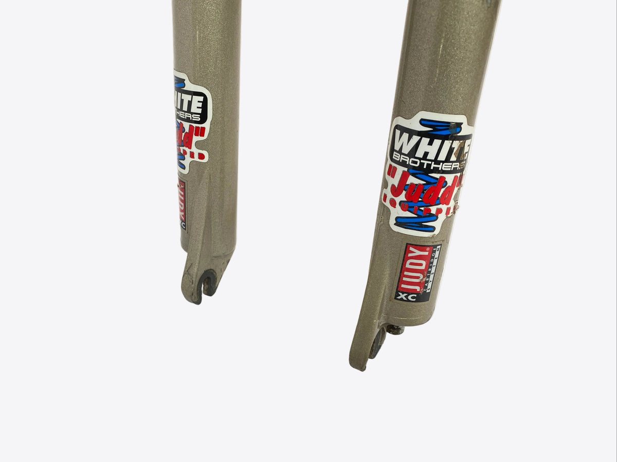 view of the front fork