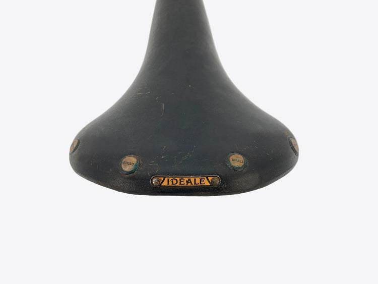 rear view of the saddle