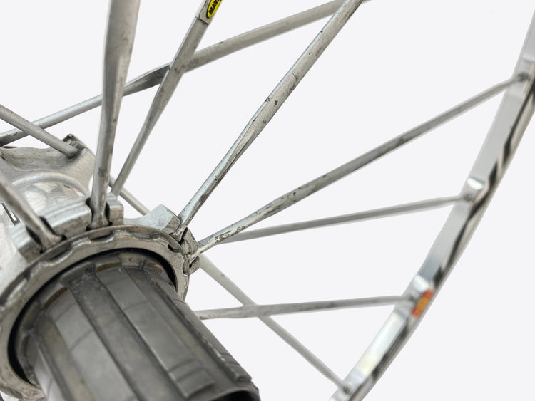light spoke damage from chain