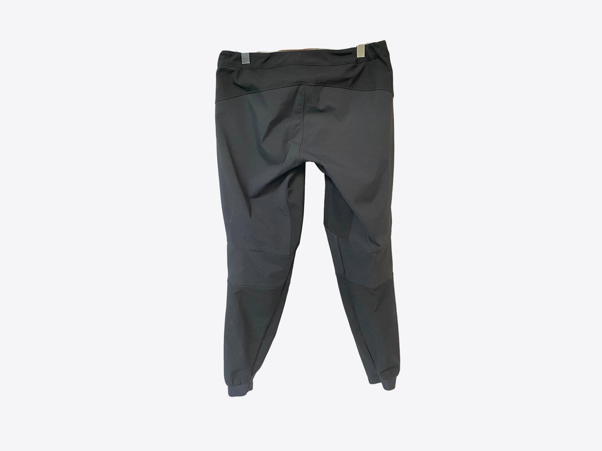 rear view of the pant