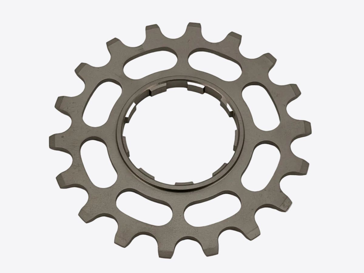 back view of cog