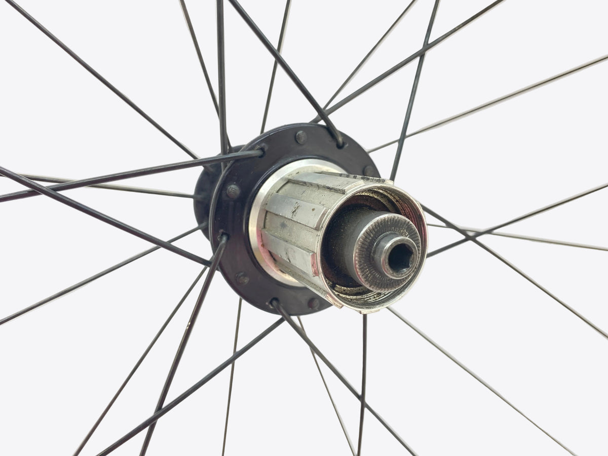 close up of the freehub body